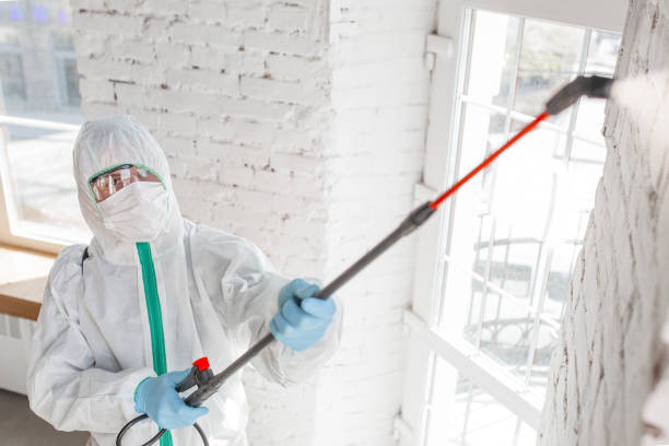 Asbestos and Lead Testing During Mold Inspection in Walls, MS